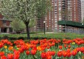 Affordable Housing affordable housing hra